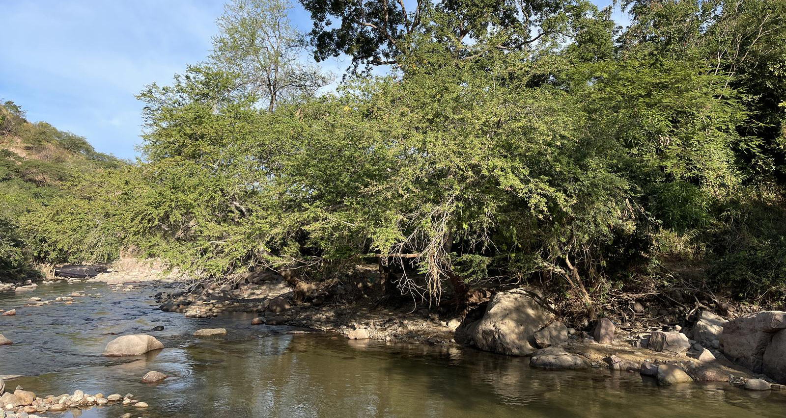 Field Trip: RÃo Pitillal